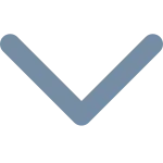 Chevron Down SVG Icon